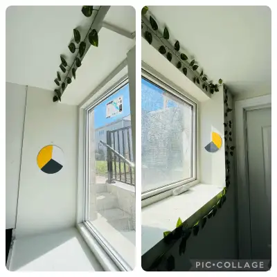 Sharing rooms available