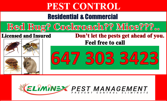 AFFORDABLE 24/7 PEST CONTROL!