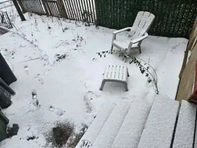 2nd floor 1 bedroom apartment. 400 square foot. Kitchen, Living Room, Bathroom, Bedroom, Sunroom(enc...