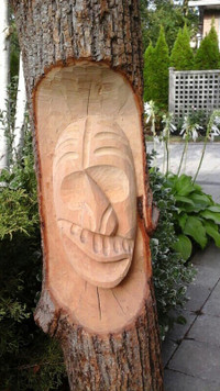 Haudenosaunee FALSE FACE MASK carving in tree log