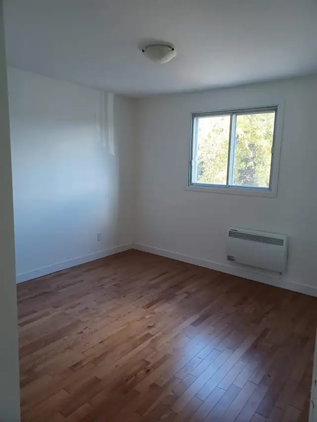 Chambre à louer belle coloc propre, respectueuse, calme | Room Rentals ...
