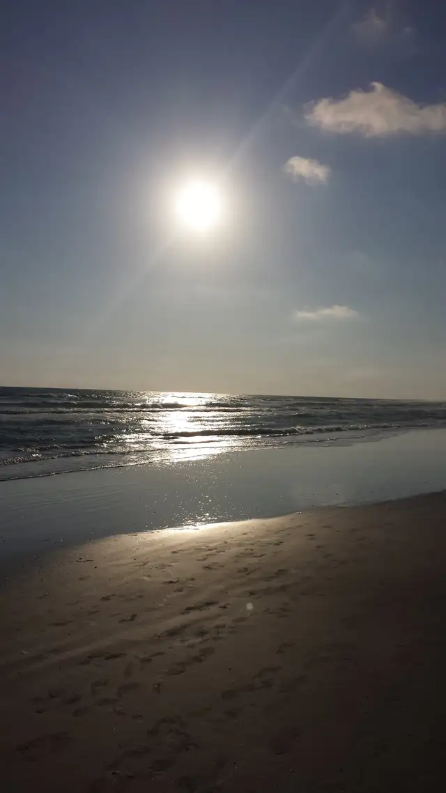 Spend the winter in Sarasota Florida near Siesta Key Beach!! in Florida in Canada - Image 3