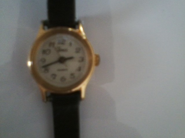 Timex Watch in Jewellery & Watches in Norfolk County