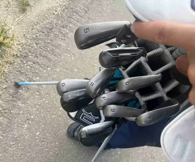2024 cobra dark speed irons, View more