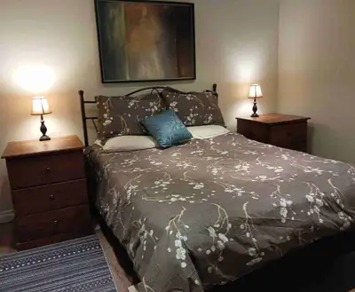 Exceptional Room & more close to Trent U