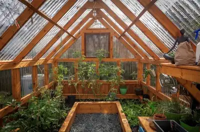 Save your plants from harsh weather and extend your growing season. #1 Choice for Greenhouse Applica...