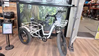 REFURBISHED T4B Carriage Fat Tire Trike 500 Watt Electric Bike, View more