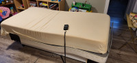 Electronic double bed