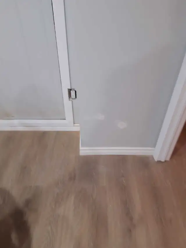 handyman64520061889025121