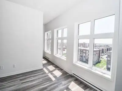1 bedroom condo for rent