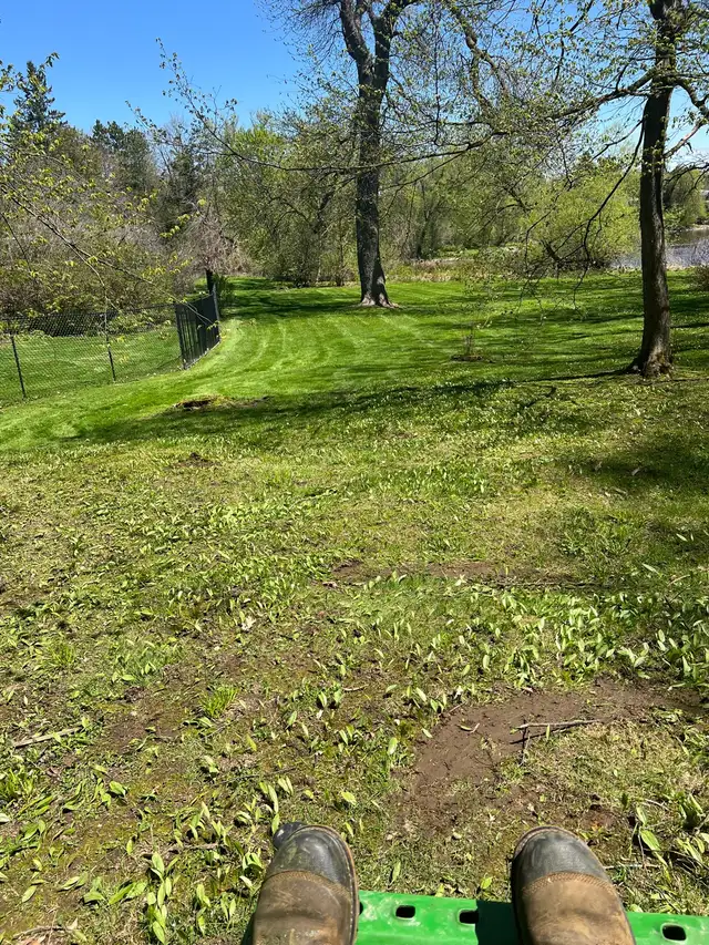 Landscaping & Junk Removal426574181534289924