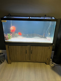90 Gallon Fresh Water Discus Aquarium 