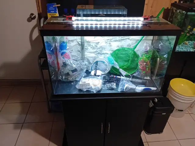 Aquarium fish 30 Galons (113,5 Liters) in Other in Laval / North Shore - Image 2