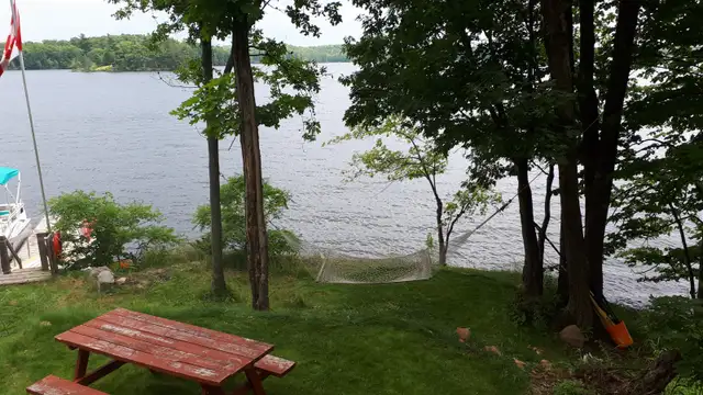 Private Cottage on beautfull Bobs Lake in Ontario in Canada - Image 21