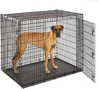 Dog Crate or cage