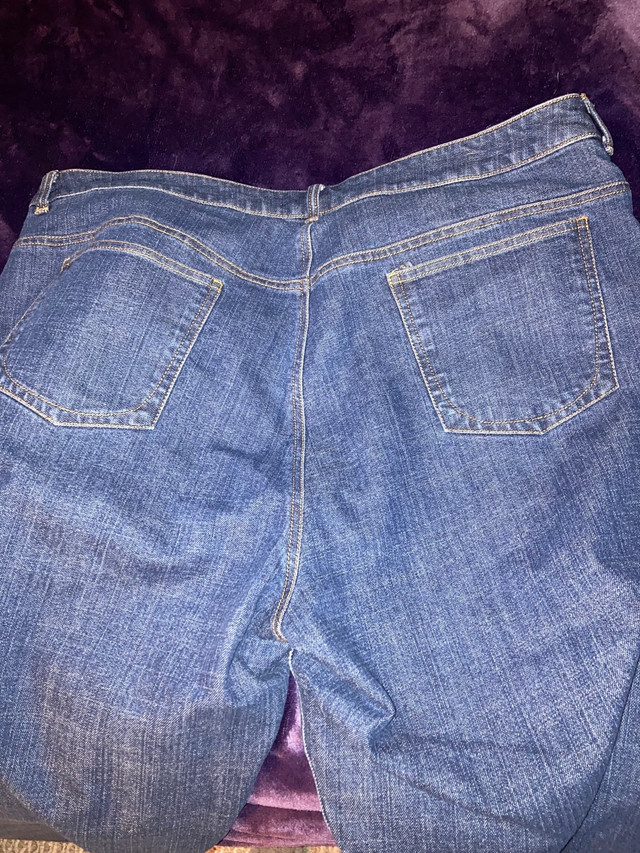 Plus size Jones of New York Stretch jeans  in Women's - Bottoms in London