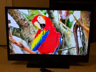 Insignia 32” LED HDTV + Amazon FireTV Stick = Smart TV, Remote, View more