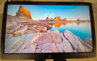 HP 24" Monitors (50 Total), View more