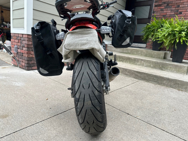 2019 Ducati Scrambler Icon ABS - 803cc in Street, Cruisers & Choppers in Mississauga / Peel Region - Image 4