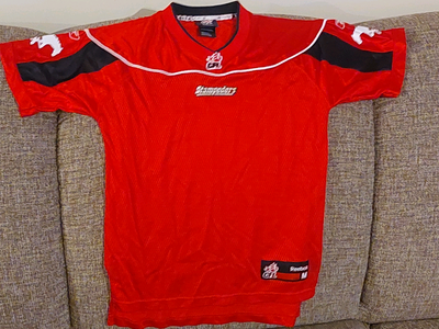 Authentic Calgary Stamps Reebok jersey
Mint
Size youth Med
$25, View more