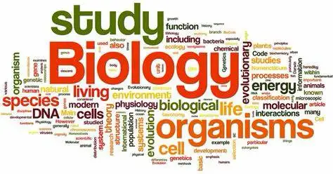 science/Biology lessons, exam prep, tutor64551245335299120