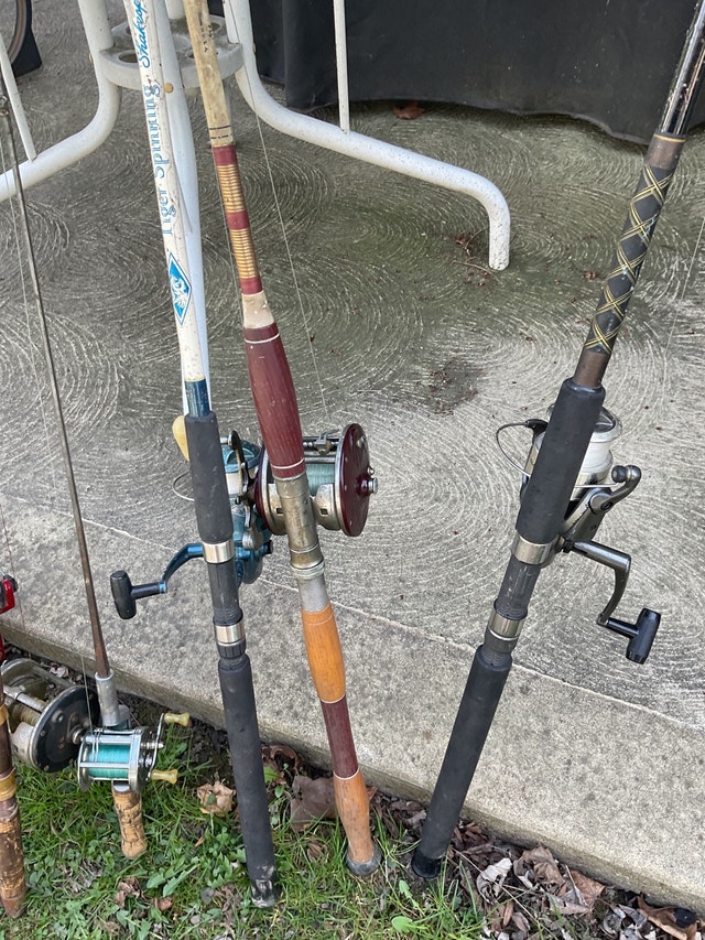 Fishing rods , reel and accessories Fishing, Camping & Outdoors