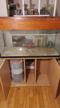 37 Gallon Drilled With Plumbing Aquarium Fish Tank For Sale