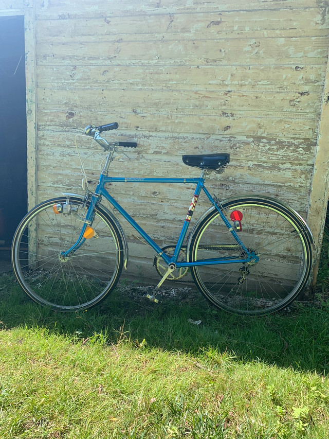 Supercycle 5 speed bicycle in Mountain in City of Toronto