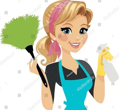 Cleaning Lady looking for a new customers, View more