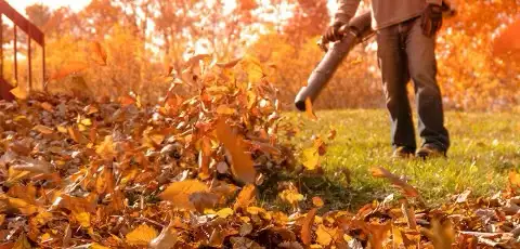  Fall Cleanups & Seasonal Yard Care – Book Before Winter! 63826837021955120