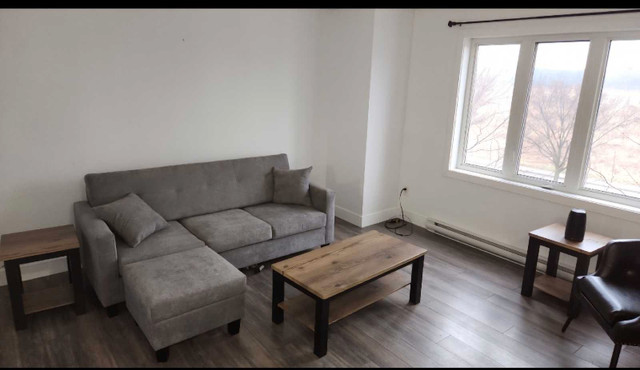 Room for Rent in the Heart of Plateau in Room Rentals & Roommates in Gatineau - Image 3