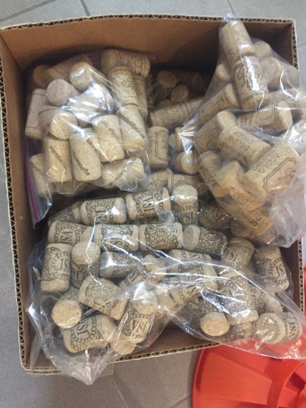 arbre de séchage des bouteilles de vin /Wine Bottle drying tree