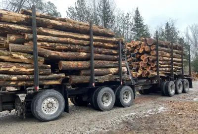 Hardwood firewood delivery service. Sugar maple & Ash wood cut and split at 12-16" lengths Bushcord...