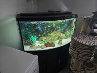 Aquarium 45 gallons 