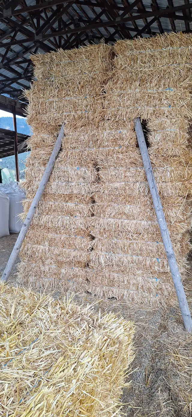 Oat Straw For Sale in Livestock in Vernon - Image 2