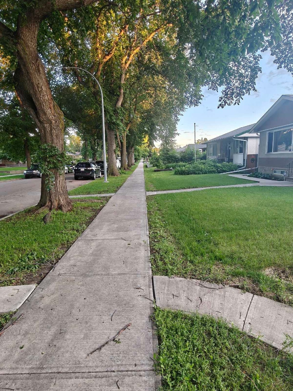 Legal Basement 2 bedroom suite for Rent in NE Edmonton. 3