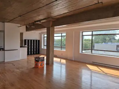 Lumineux loft Plateau,  terrasse sur sur le toit, dispo 1er août