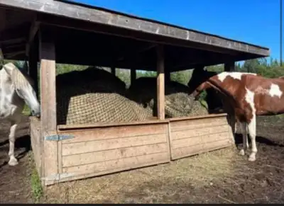 horse board available , View more