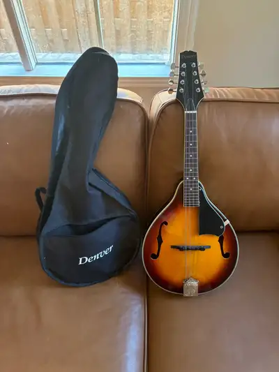 Gently used, great condition Denver mandolin and soft case