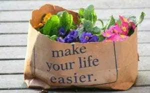 Errand Runner/Deliveries/Rides494506333732884481