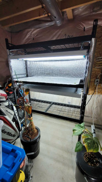Shelf Equipped with Grow Lights