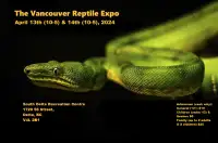 The Vancouver Reptile Expo