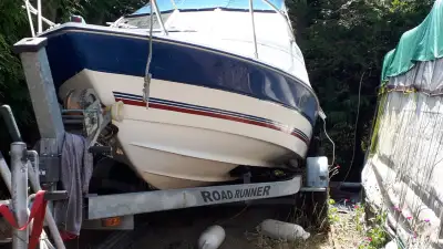 3L mercruser 19.5 length boat w/full canopy for sale. Very good condition. Tandem trailer included