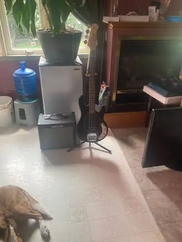 Bass and Amp, View more