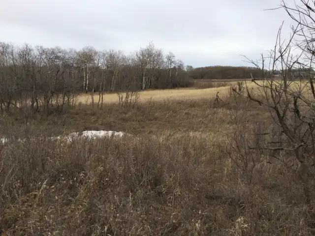 Acreage land for sale in Land for Sale in Saskatoon - Image 5