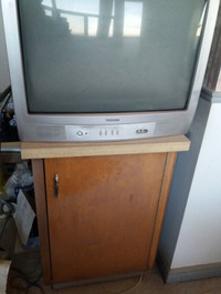 TV Stand Cabinet with Door and 2 levels of adjustable shelves