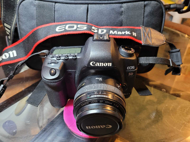Professional Canon 5D 50 mm F1.4 - 100- 200mm complete. Package in Cameras & Camcorders in Prince George - Image 2