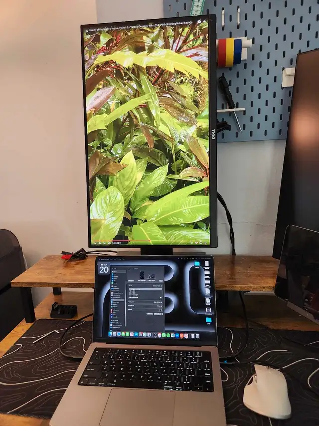 Dell 2K QHD Monitor 25" in Monitors in City of Montréal - Image 3