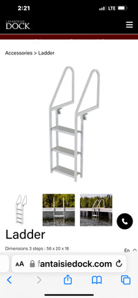 Three Step dock ladder