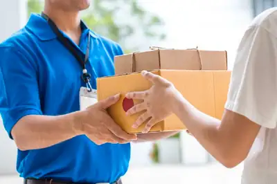 Delivery Driver, View more